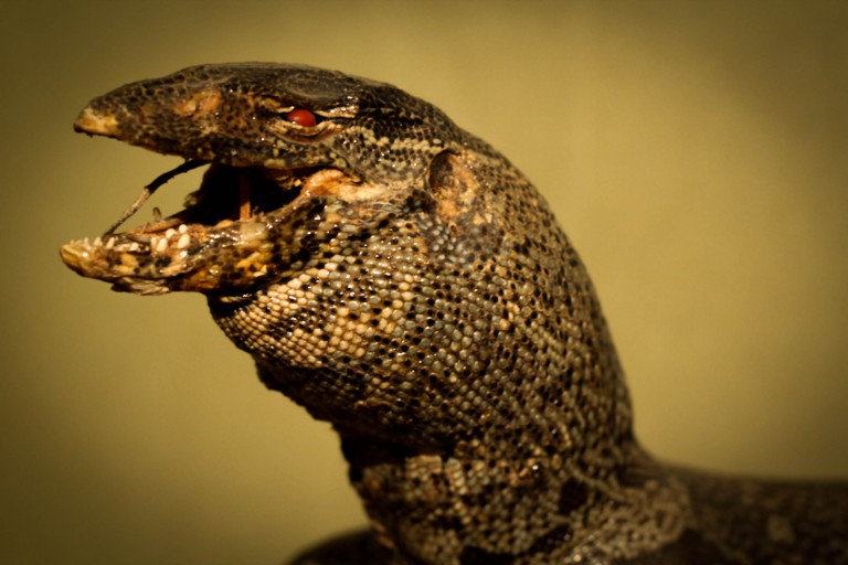 Logic Locks Amsterdam • Reviews, Ervaringen, Adres en Prijzen