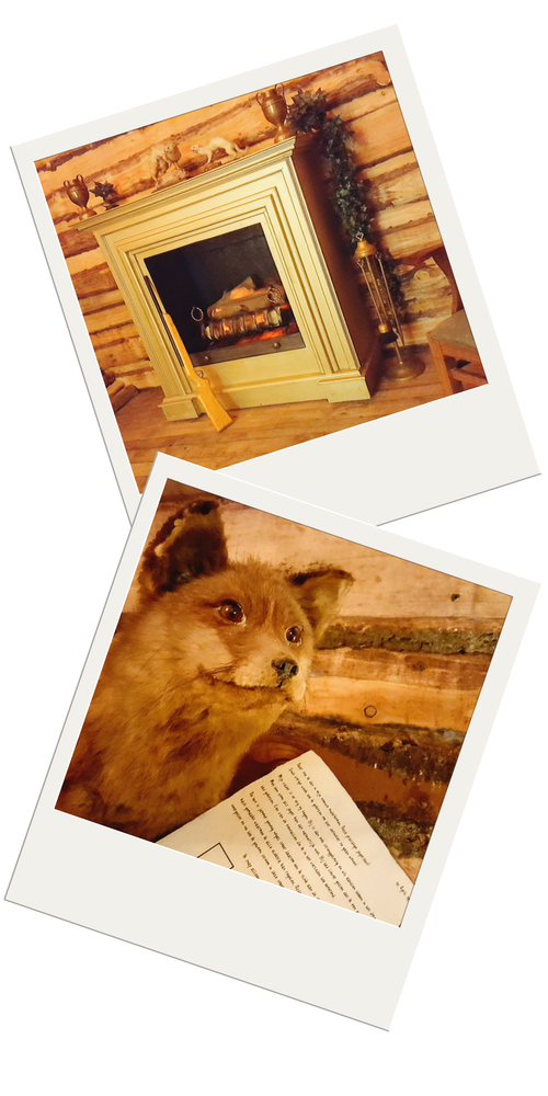 Riddle Room Best • Reviews, Ervaringen, Adres en Prijzen